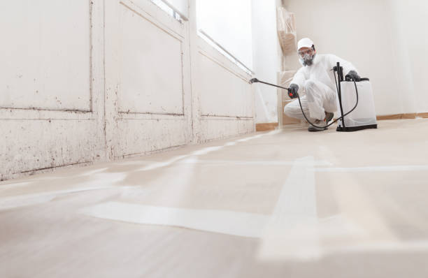 24/7 Emergency Black Mold Remediation experts in Bogota, NJ